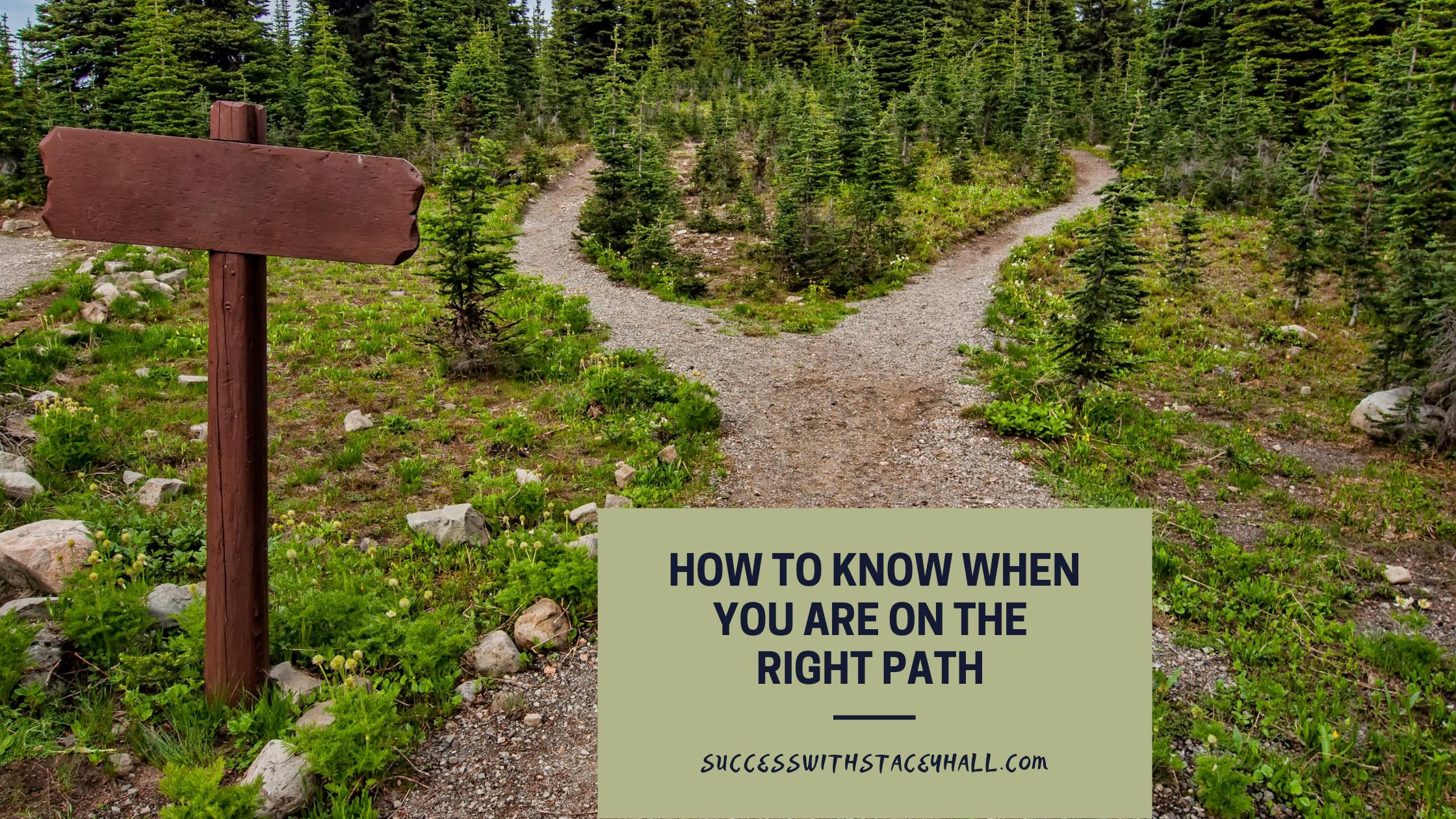 How To Know You Are On The Right Path